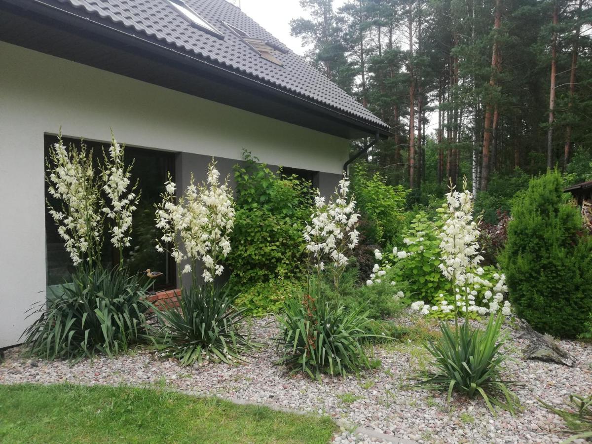Cudodomek Spa W Mrozach Wielkich Kolo Elku Eksteriør bilde