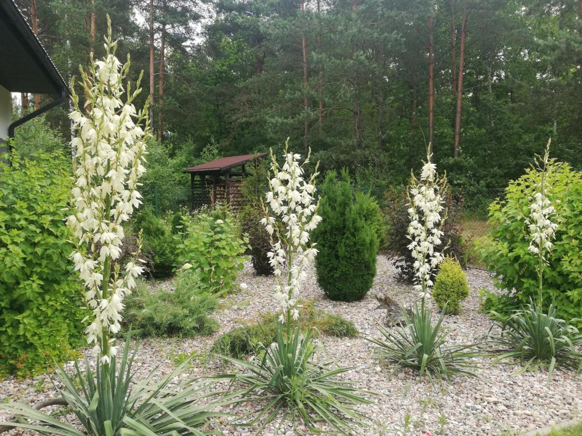 Cudodomek Spa W Mrozach Wielkich Kolo Elku Eksteriør bilde